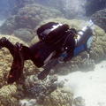 DSCF8435 potapeci a koralove hory
